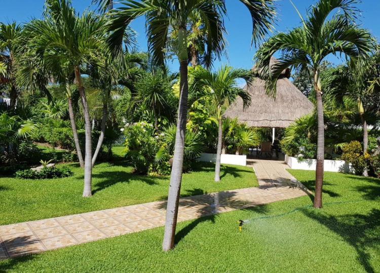 Large House - Walking To Beach - 10 Guests! Cancún Exterior foto